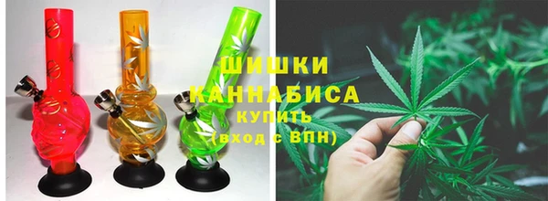 ешки Арсеньев