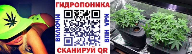 Канабис сатива Новодвинск